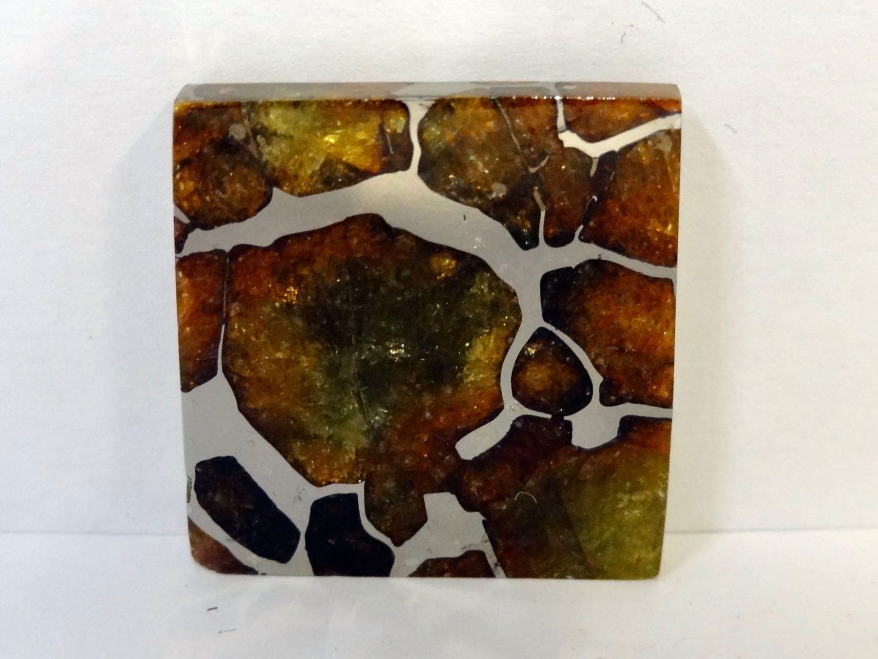 Minéraux & Lithothérapie: Meteorit PALLASIT Eisen-Stein-Meteorit IMILAC CHILE – Neuf (Voir description) à Kerzers par djstarsky73 3