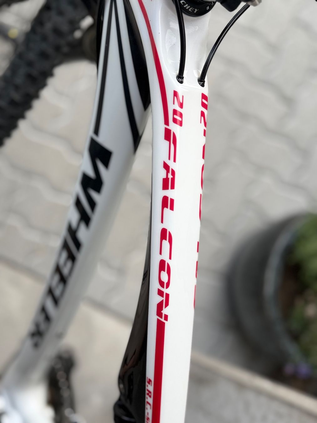 Wheeler Biciclette: **** TOP Wheeler - Falcon 20, Fully - Carbon **** – Usato da Madetswil venduto da Kmkg7 6