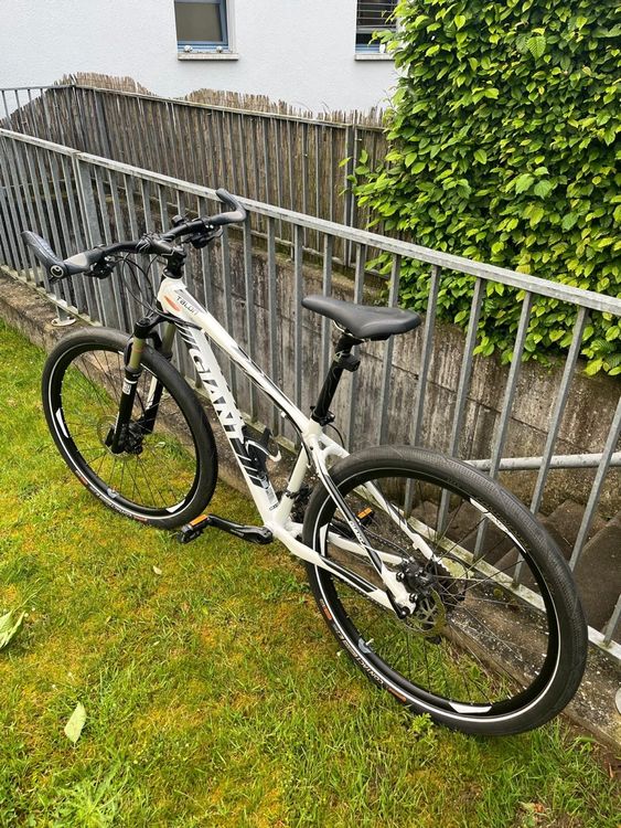 Giant Vélos: Gut erhaltenes Giant Talon Mountainbike - Top Zustand! – D'occasion à Oensingen par lad_6y29