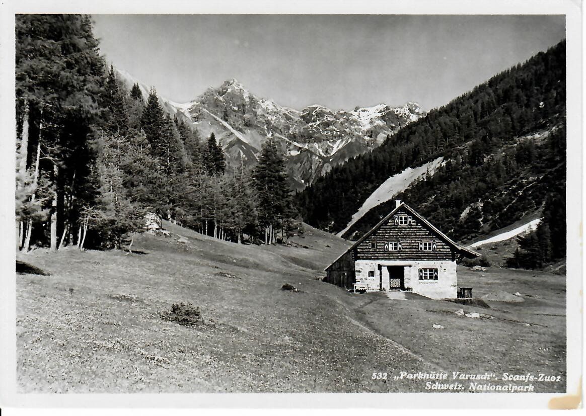 Cartoline postali: Parkhütte Varusch - CH Nationalpark – Usato da Hochdorf venduto da Ziegel-16
