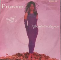 Vinyl-Single Princess - After The Love Has Gone