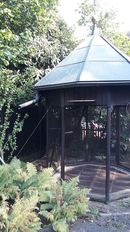 Vogelvoliere für den Garten Kaufen auf Ricardo