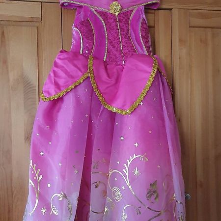 Fasnachtskleid Disney Dornröschen 