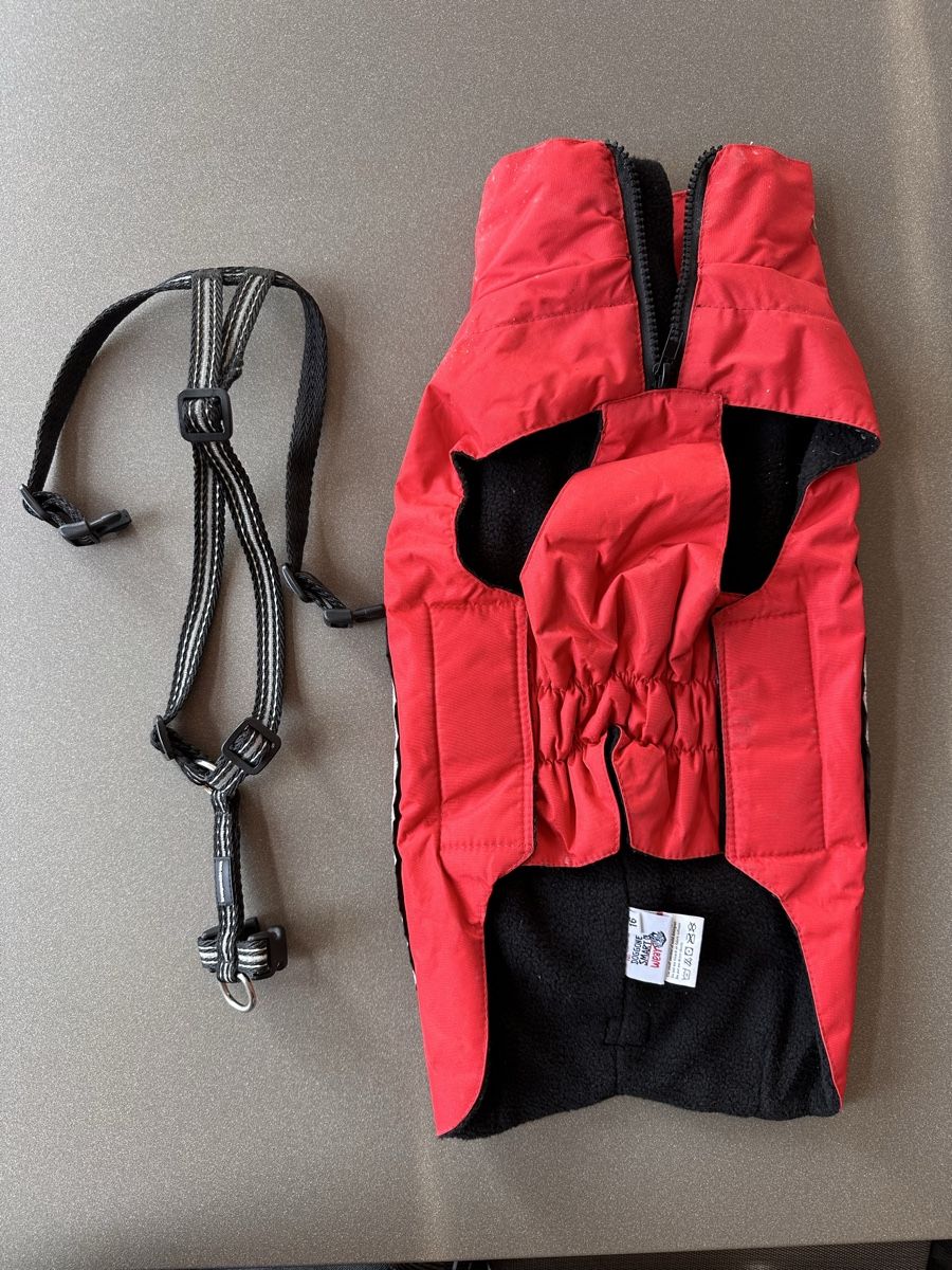 Abbigliamento: Hundemantel mit Geschirr, Rot – Usato da Uerikon venduto da Eadler 1