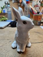 Rosenthal Hase weiss (D)