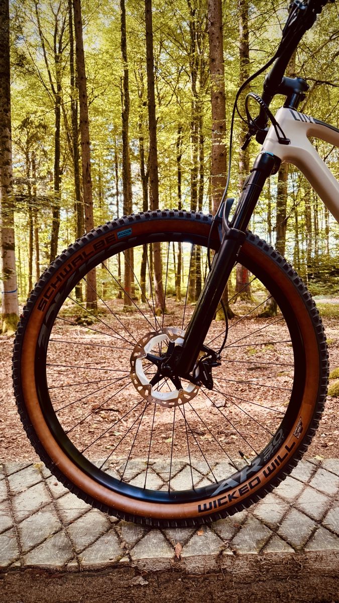Canyon Velos: Canyon Lux Trail Gr. L – Neu (gemäss Beschreibung) aus Bern von Huskill 2