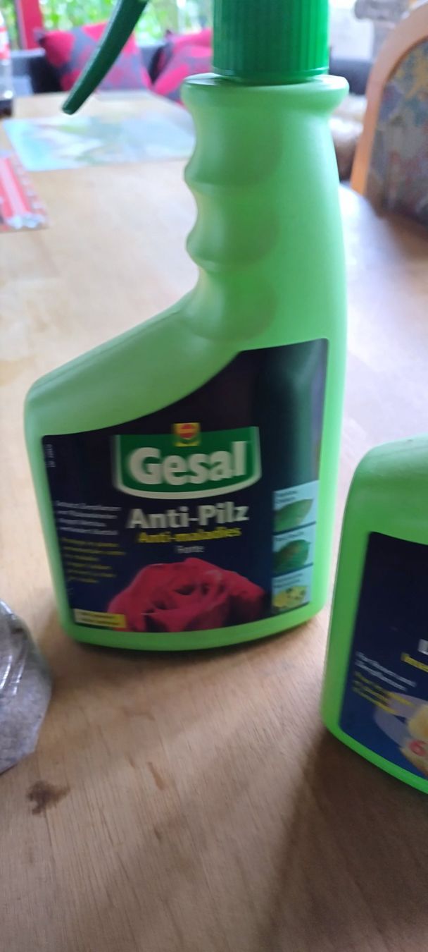 Altro: Rosen Dünger – Usato da Rothrist venduto da Sheriff94 1