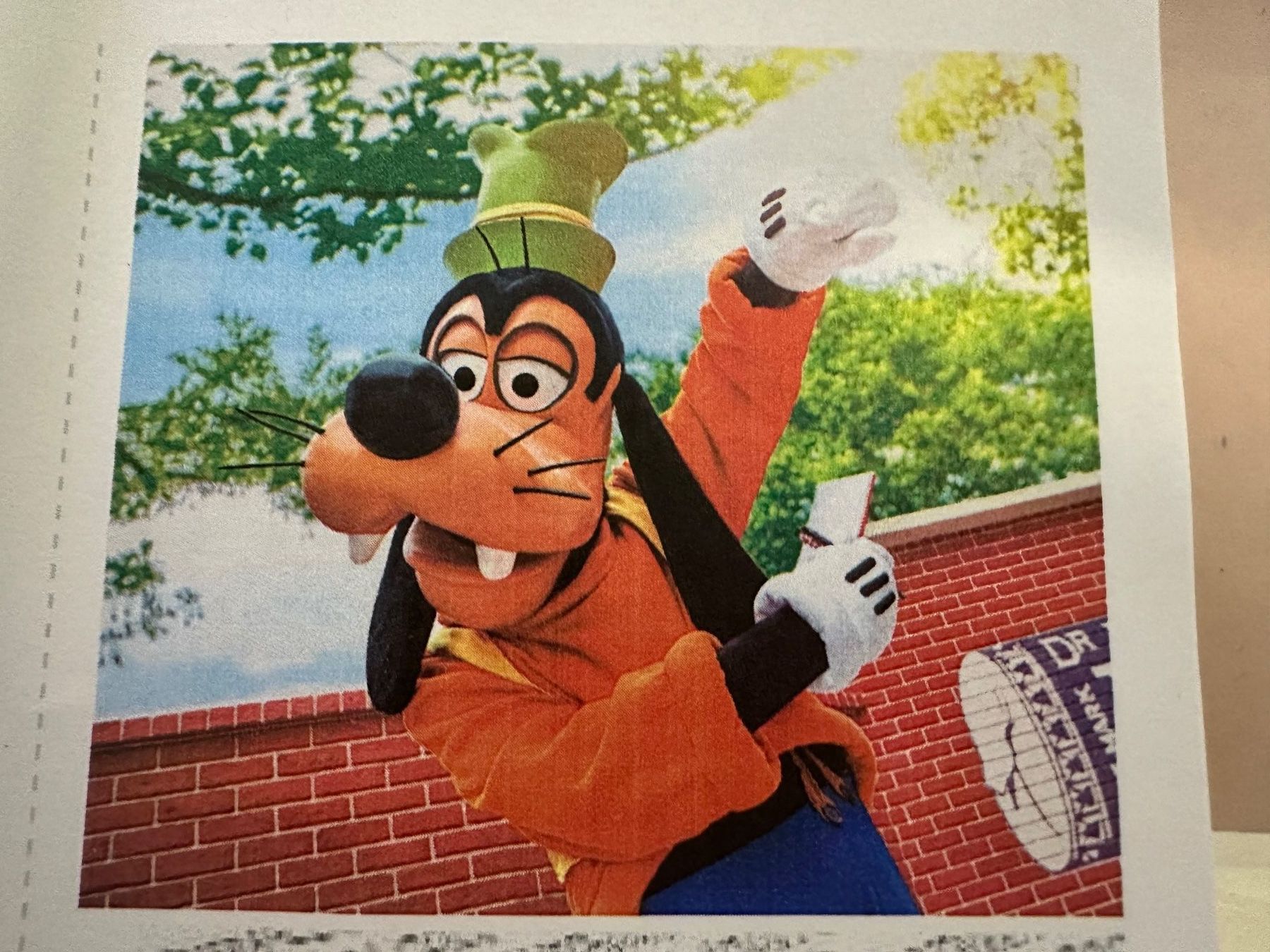 Biglietti: Disneyland Tickets – Nuovo (secondo la descrizione) da Bellach venduto da vjoge