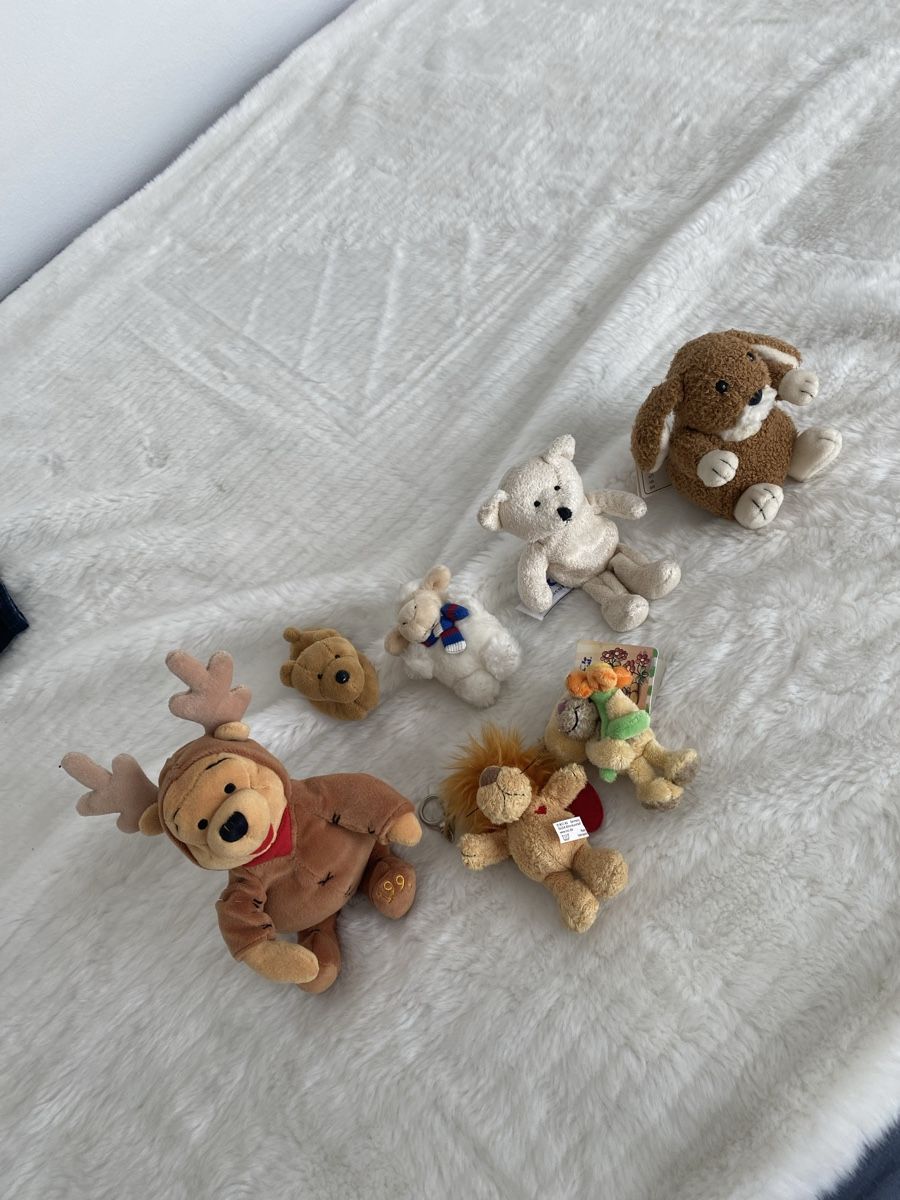 Giocattoli: Plüschtier-Sammlung – Usato da Unterterzen venduto da bac_287t 6
