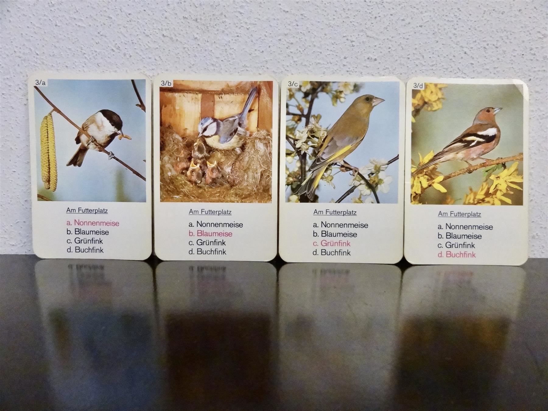 Spiele: altes Quartett TIER-QUARTETT VÖGEL – Gebraucht aus Kerzers von wisaundso 5