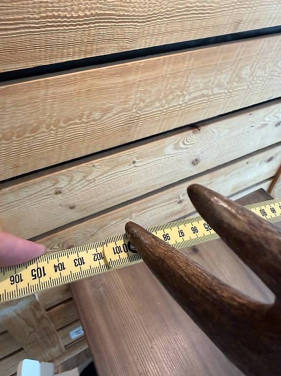 Regale: Elk – Gebraucht aus Lenk im Simmental von KingzCompany 2