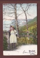 VAUDOISE - Vue sur Chillon -1904 CPN