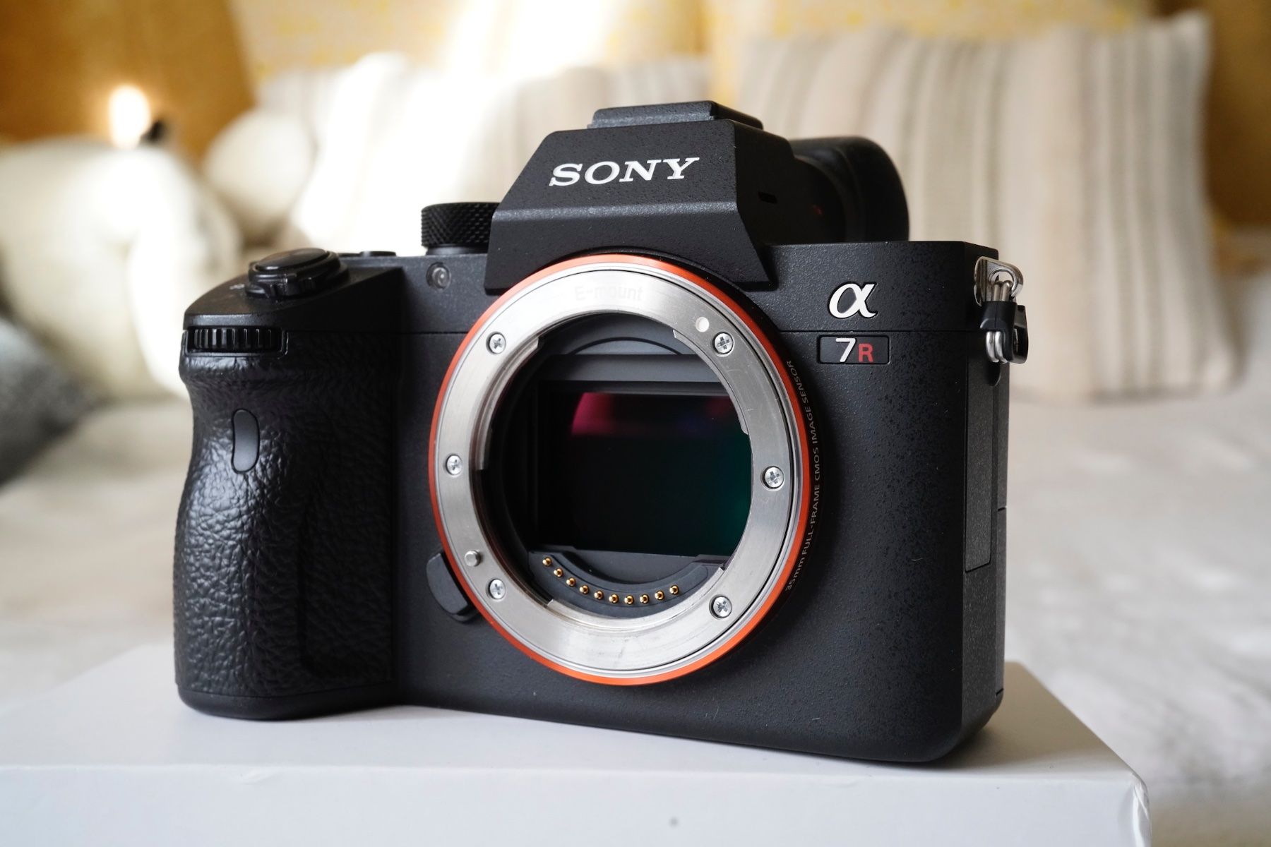 Sony Fotocamera: Sony Alpha A7R MkIII  Hervorragender Zustand – Usato da Genève venduto da iris222