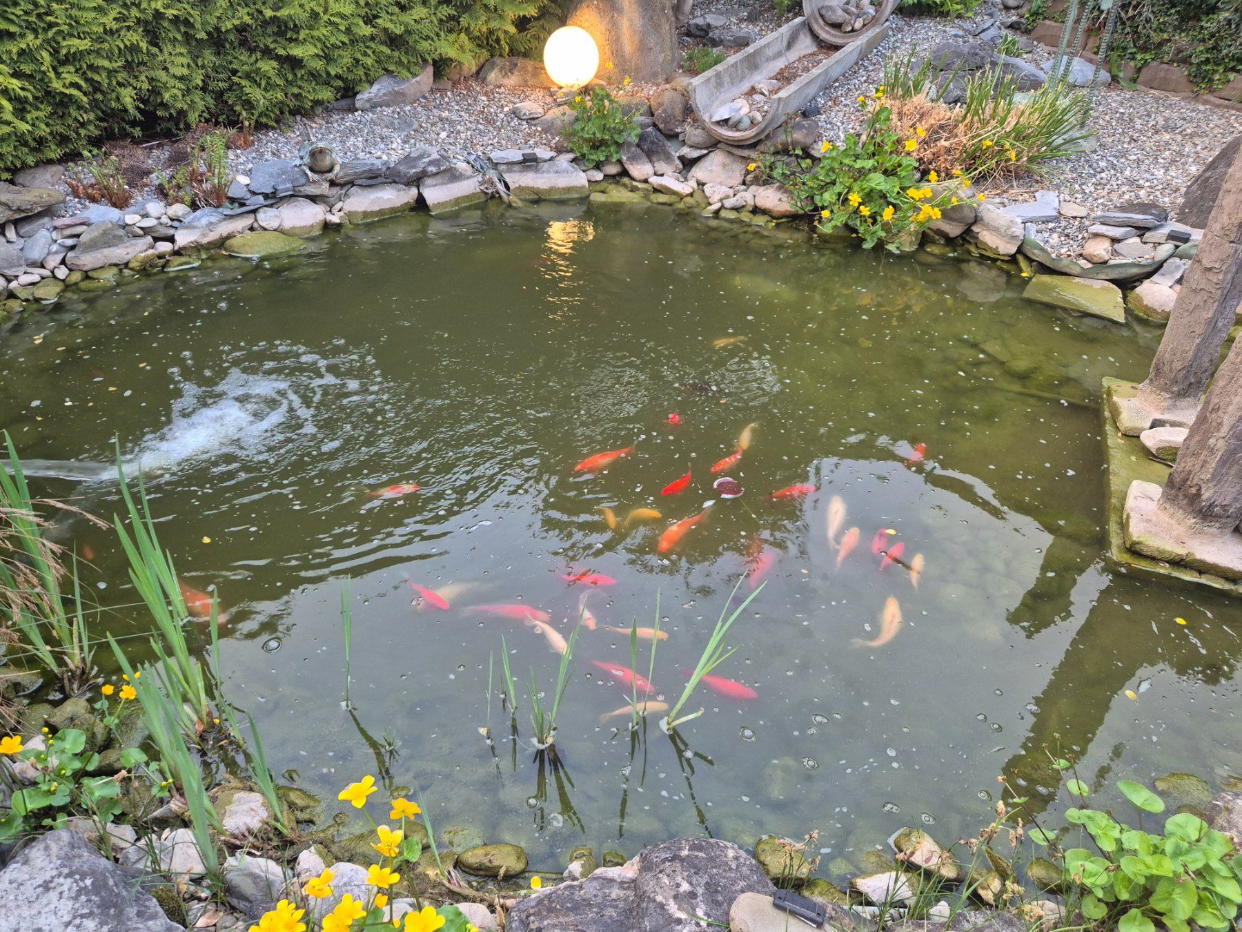Etangs & Fontaines déco.: Teich zum Verkaufen – D'occasion à Bad Ragaz par markodel