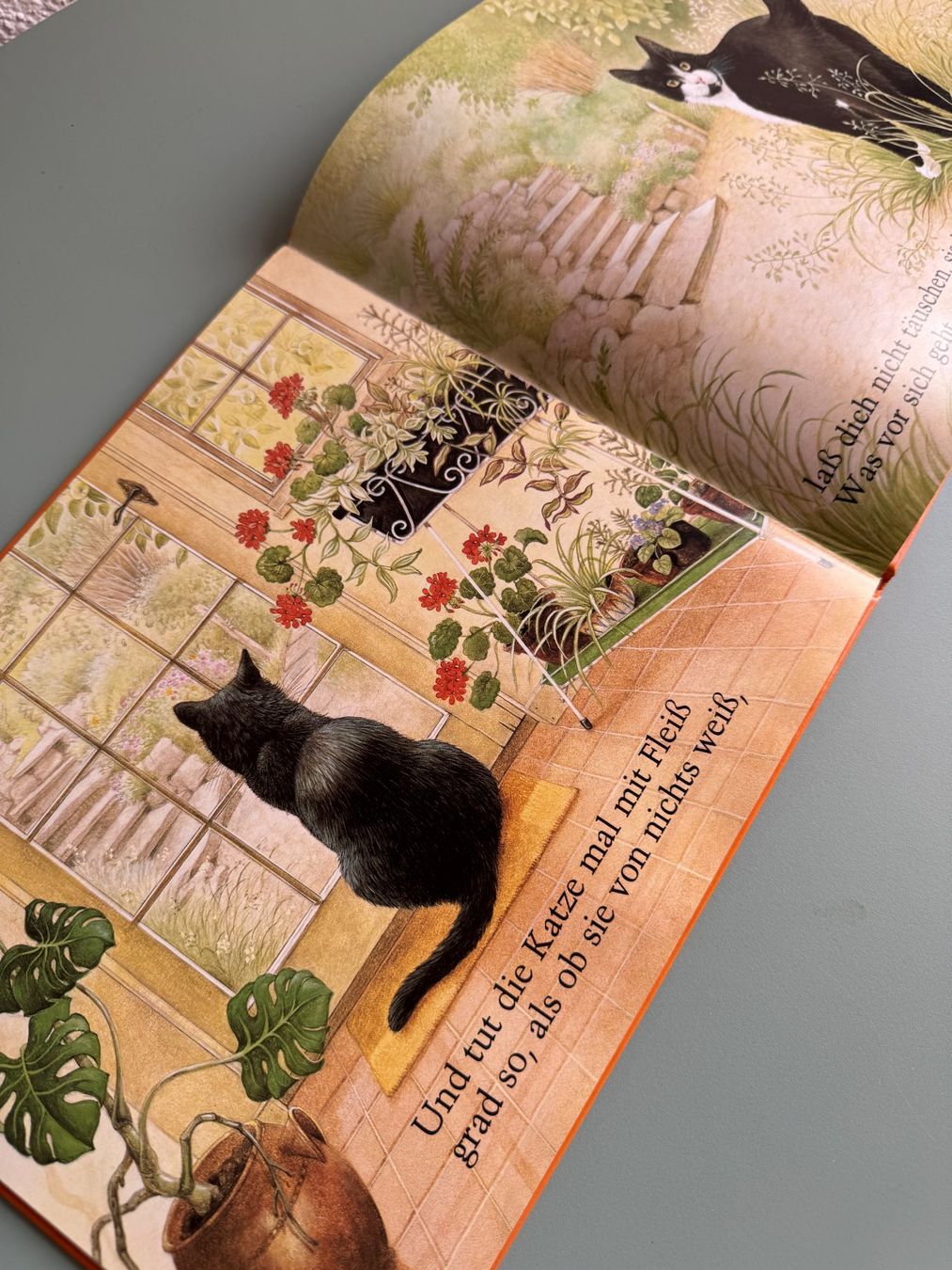 Libri: Katzen haben Köpfchen schönes Kinderbuch – Usato da Kägiswil venduto da Jindujune 2