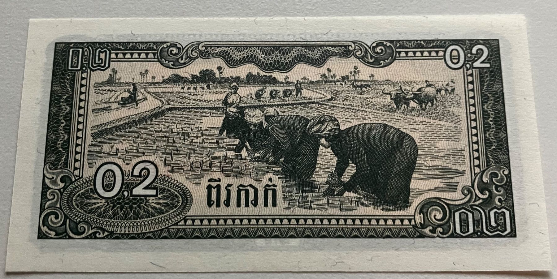 Banknoten: Kambodscha 0.2 Riel 1979 Neuwertig – Neu (gemäss Beschreibung) aus Algetshausen von Carrhard 1