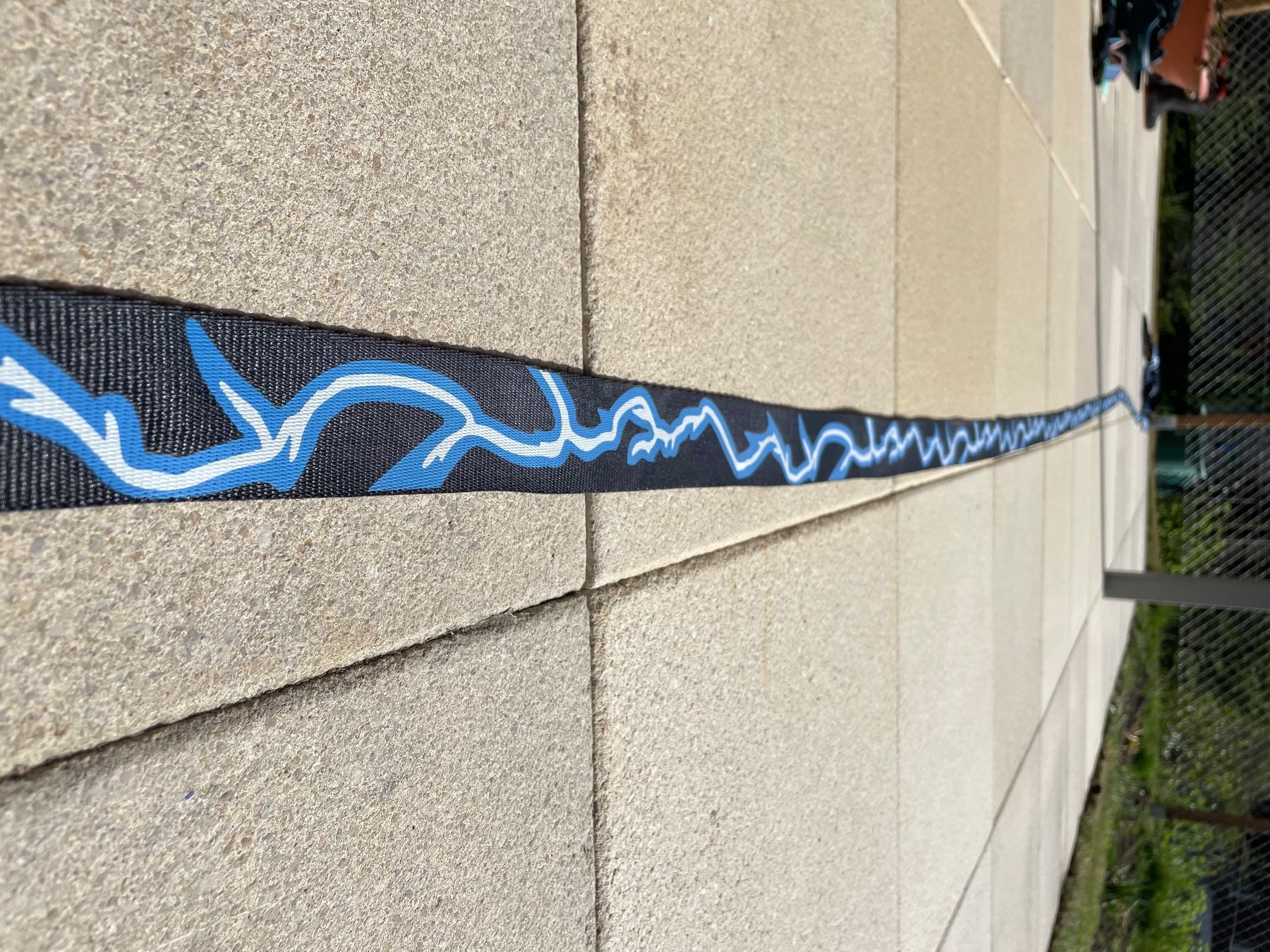 Slackline: Slackline – Nuovo (secondo la descrizione) da Oey venduto da man_sb6m 4
