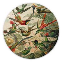 Holzbild Haeckel Kolibris Ø 45cm (neu, UVP 64.90 Fr.)