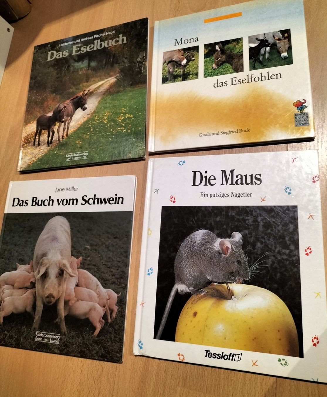 Libri: 4 Bilderbücher: Bauernhoftiere – Usato da Tegerfelden venduto da jea_f5xk