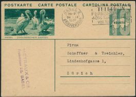 1933 - Bildpostkarte - Bild + Stempel Basel BS - Pelikane