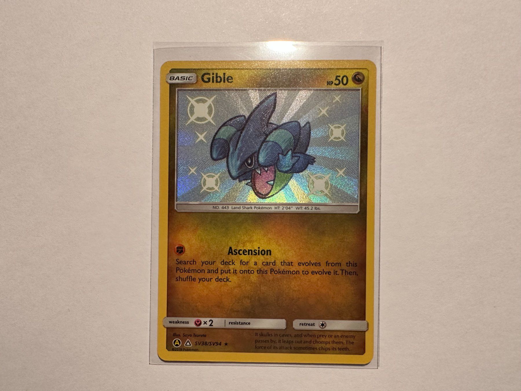 Pokémon Carte collezionabili: Gible Shiny Hidden Fates EN – Usato da Hagendorn venduto da Pokecollectorch