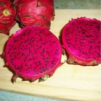 Pitaya fruit du dragon ROYAL RED  100g  (Autofertile)