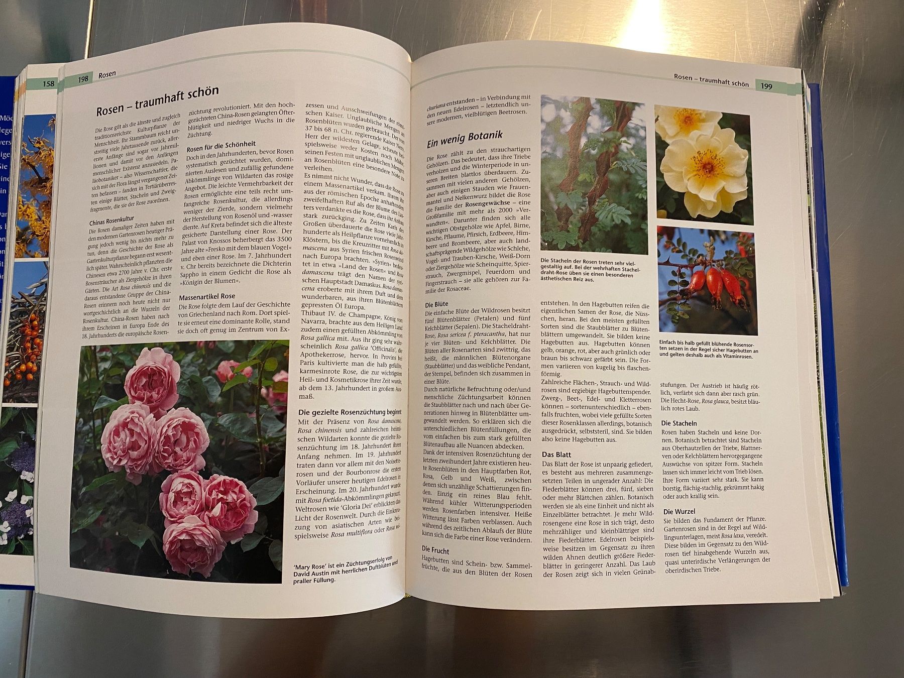 Libri: Handbuch „Garten“ – Usato da Winterthur venduto da nor_qtg7 2