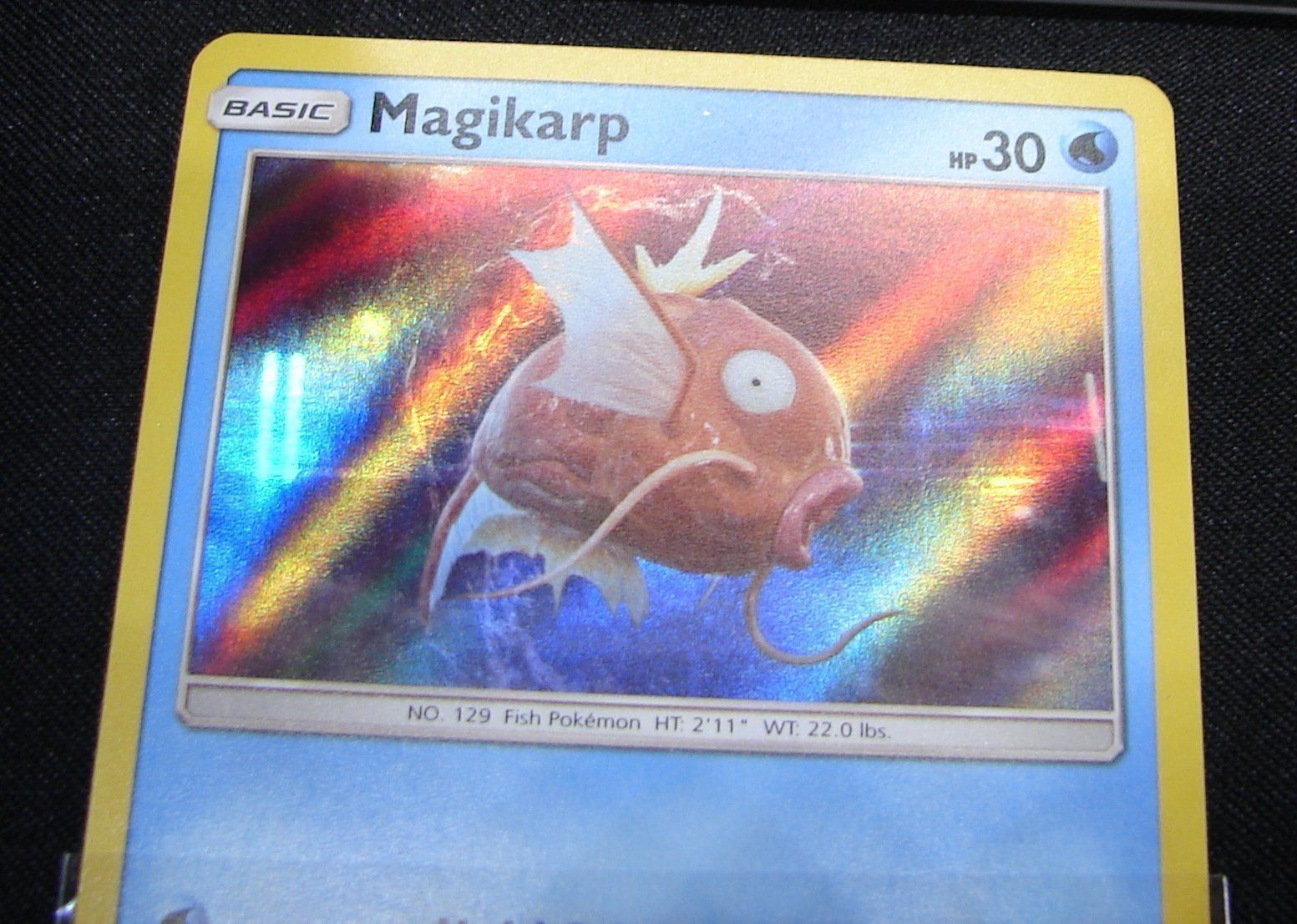 Pokémon Cartes à collectionner: Pokemon Magikarp -  HOLO ab 2.--     /44 – Neuf (Voir description) à Rümlang par coh_87ww 2
