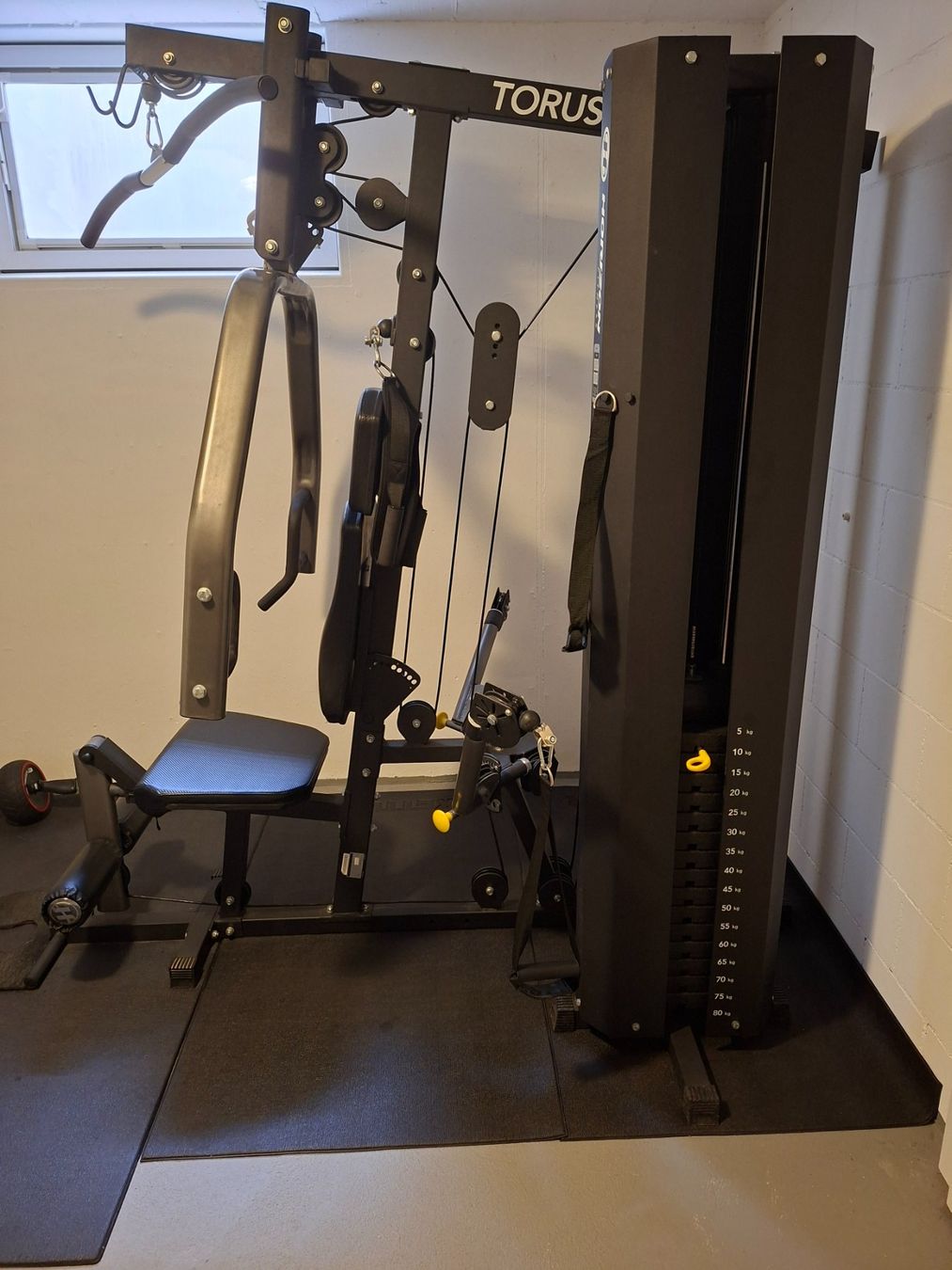 Hometrainer: Kraftstation Horizon Torus 3 – Usato da Rüdlingen venduto da Don_pedro 2