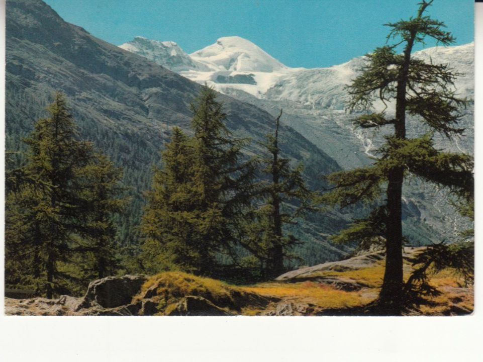 Cartes postales: Saas Fee Allalinhorn 1963 – D'occasion à Bürglen TG par StampGraf