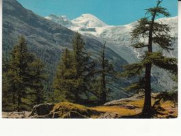 Saas Fee Allalinhorn 1963
