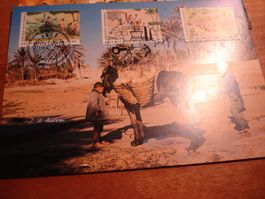 Set Maximumkarten 1986, UNO Genf, Wien, New York, 11 Belege