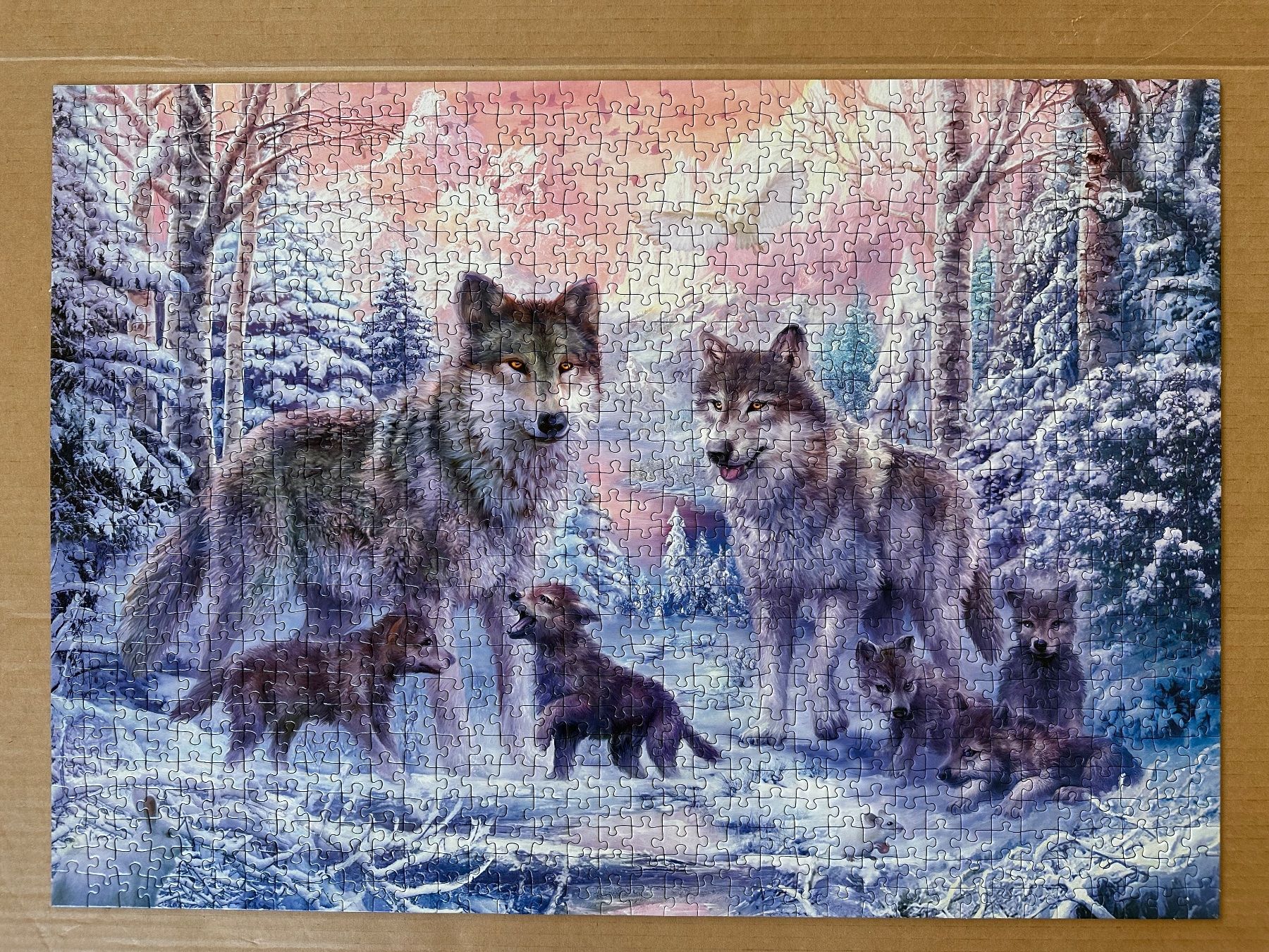 Ravensburger Puzzles: Wolf - Puzzle 1000 Teile Ravensburger – Gebraucht aus Uster von q1w2e3 1