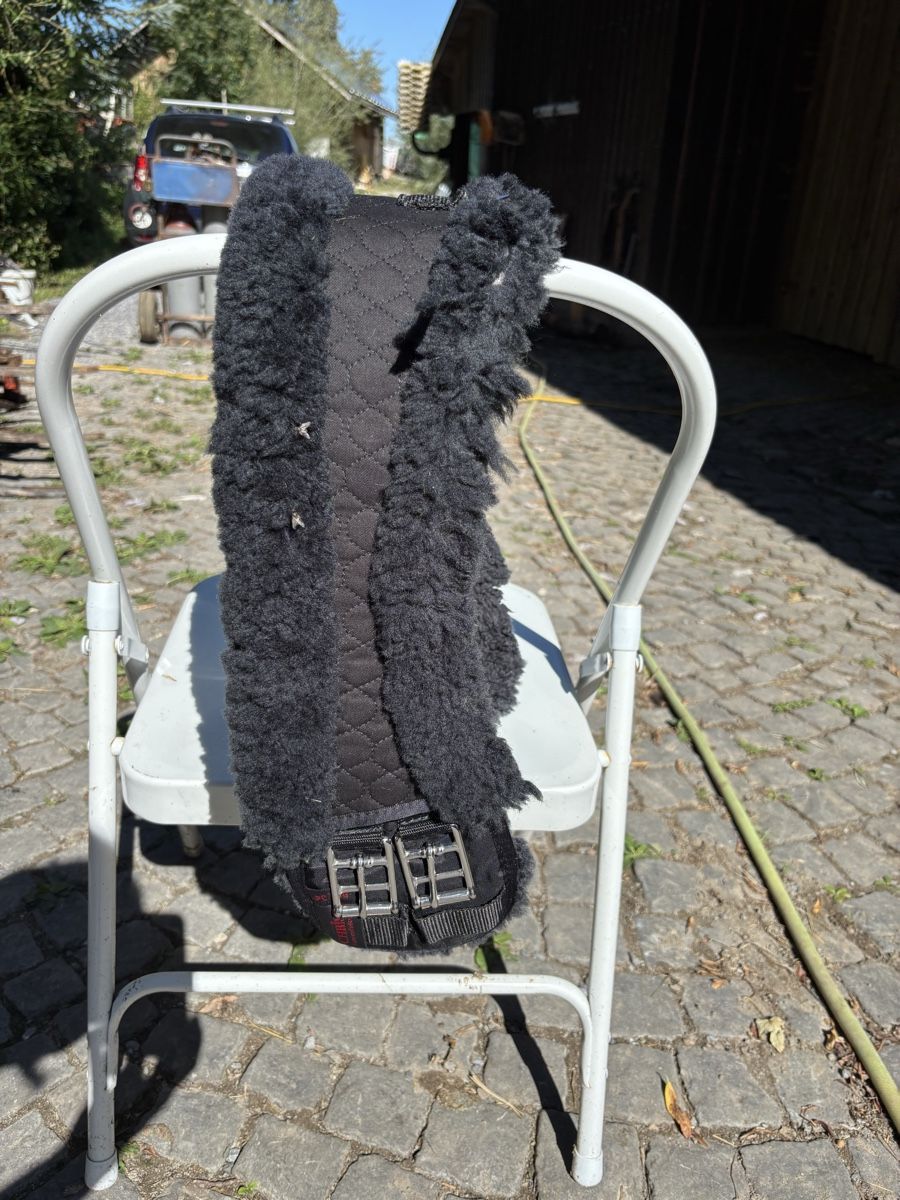 Selles, accessoires: Sattelgurt – D'occasion à St. Gallen par may_8fbd 1