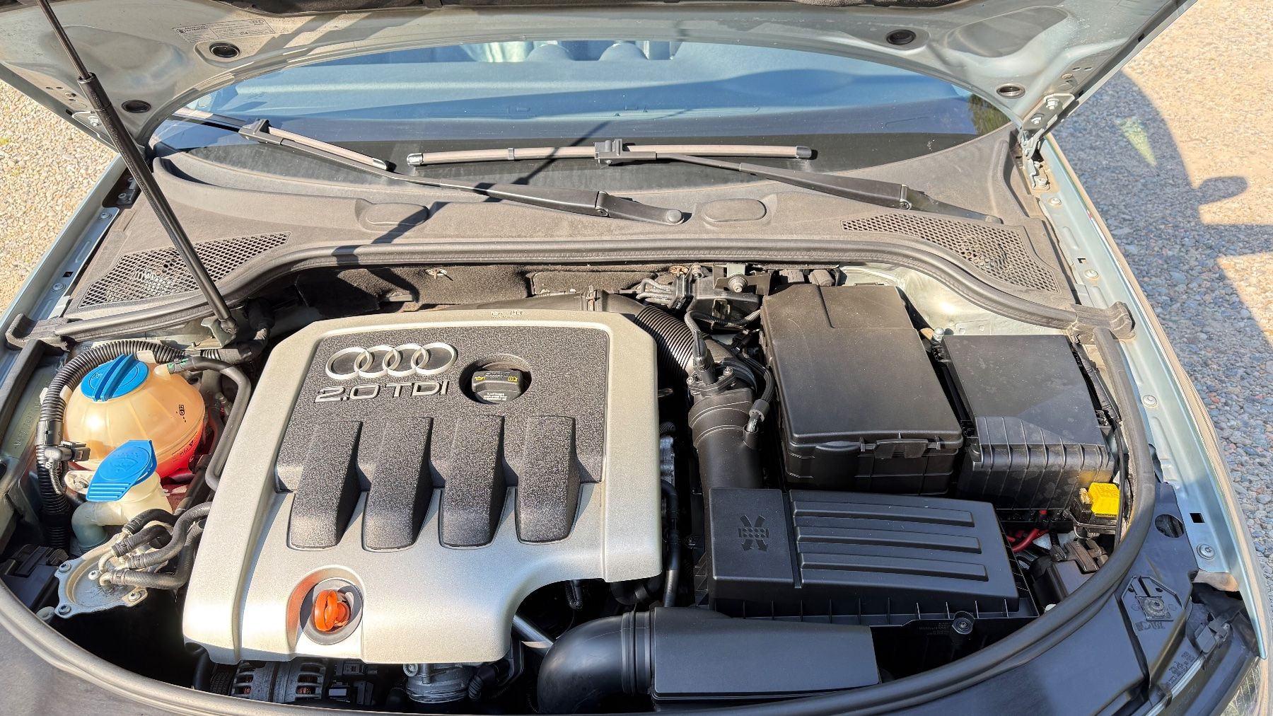 Audi Automobili: Audi A3 8P 2.0Tdi 140ps – Usato da Caslano venduto da ValeVI 2