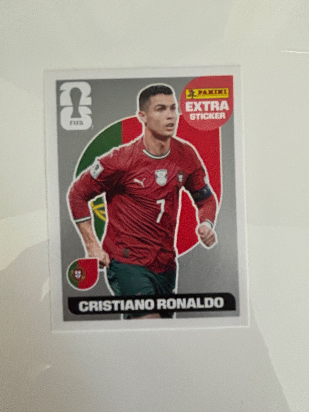 Panini Carte collezionabili: Cristiano Ronaldo Silber Panini – Nuovo (secondo la descrizione) da mellingen venduto da Matiu
