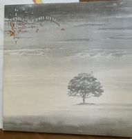 Vinyl Genesis Wind & Wuthering UK LP Original neu