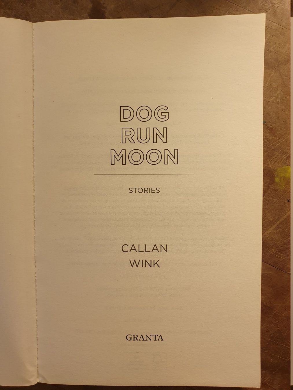 Bücher: Dog Run Moon - Callan Wink – Gebraucht aus Zürich von loosebone 2