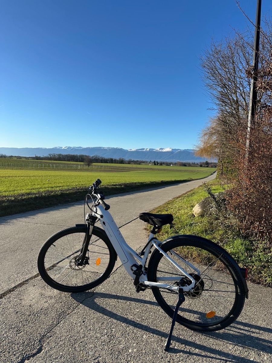 Biciclette: Vélo électrique comme neuf  – Nuovo (secondo la descrizione) da Chernex venduto da sif_6s8x 8