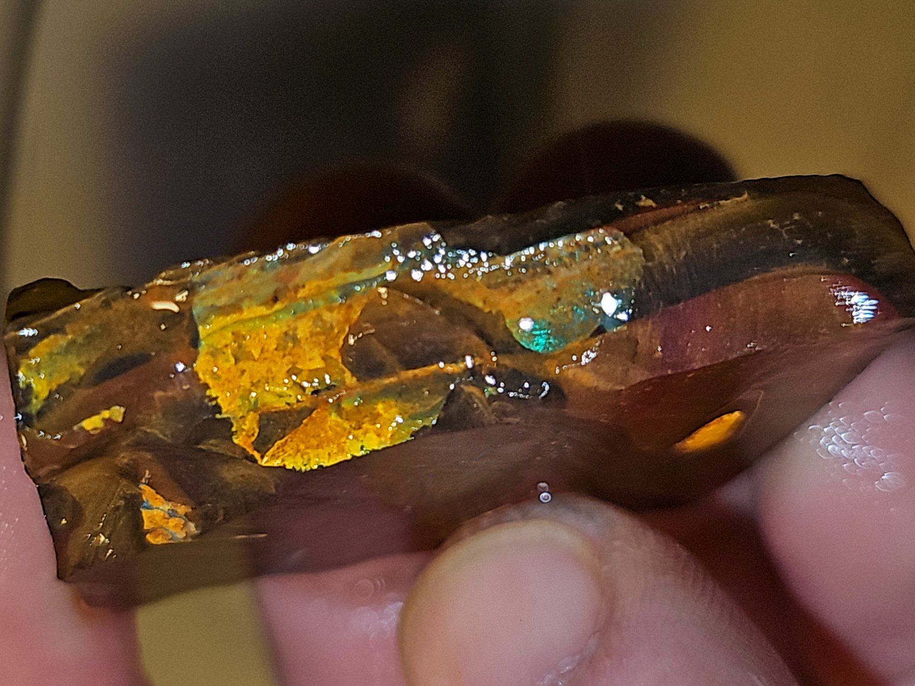 Pietre preziose: Koroit Boulderopal Rohstein – Nuovo e nell'imballaggio originale da Uerkheim venduto da Winwinner 3
