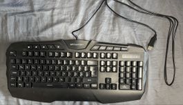 Megaport Gaming Tastatur – USB – QWERTZ – Multimedia-Tasten