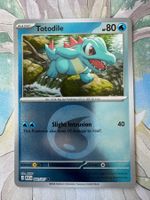 Pokémon TCG – Totodile Energy Pattern (ASC041)