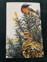 AK ungelaufen Ginster und Vögel Illustration