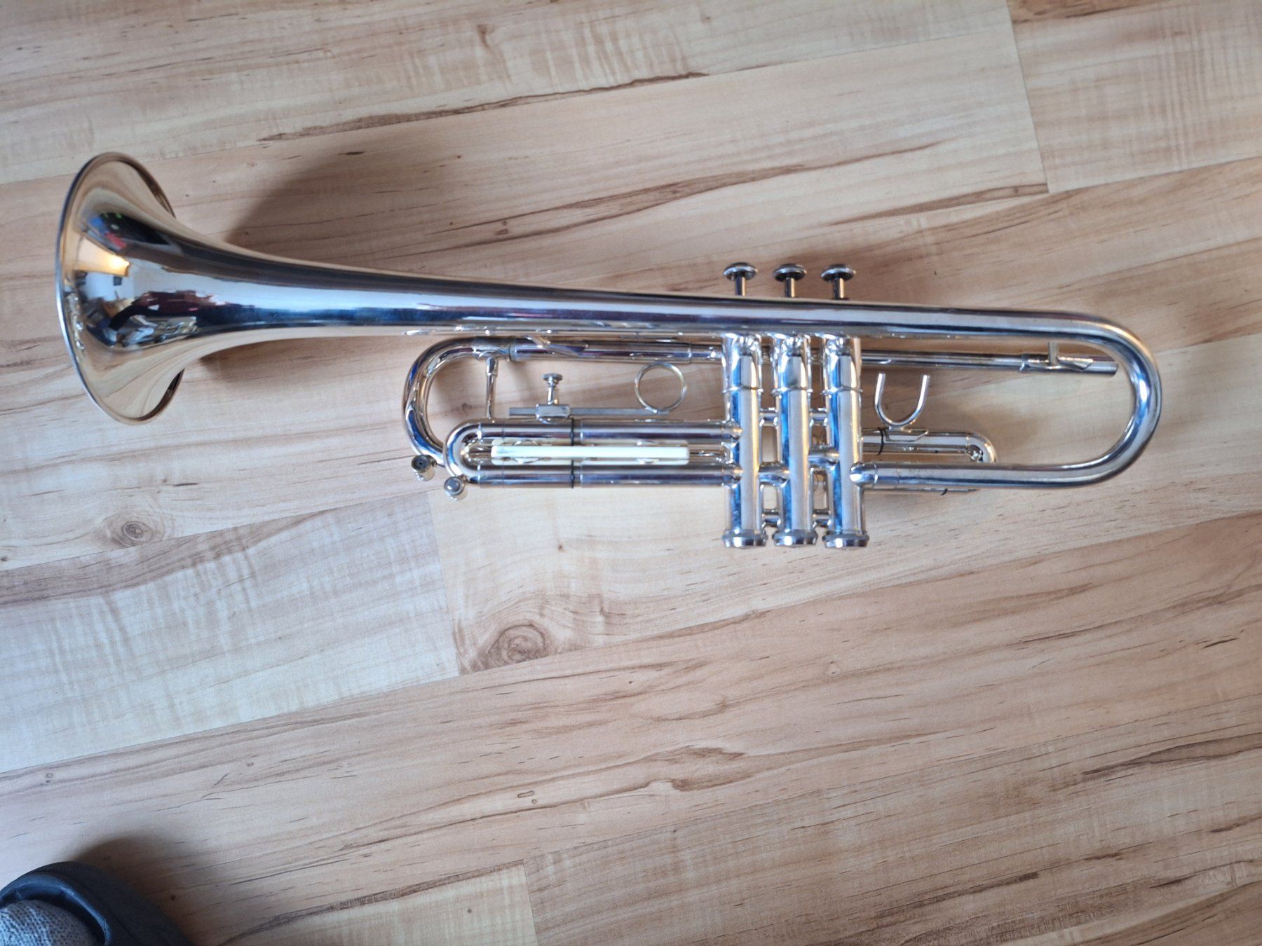 Musikinstrumente: trompete Capri by Getzen – Gebraucht aus Roggwil BE von Elisu 5