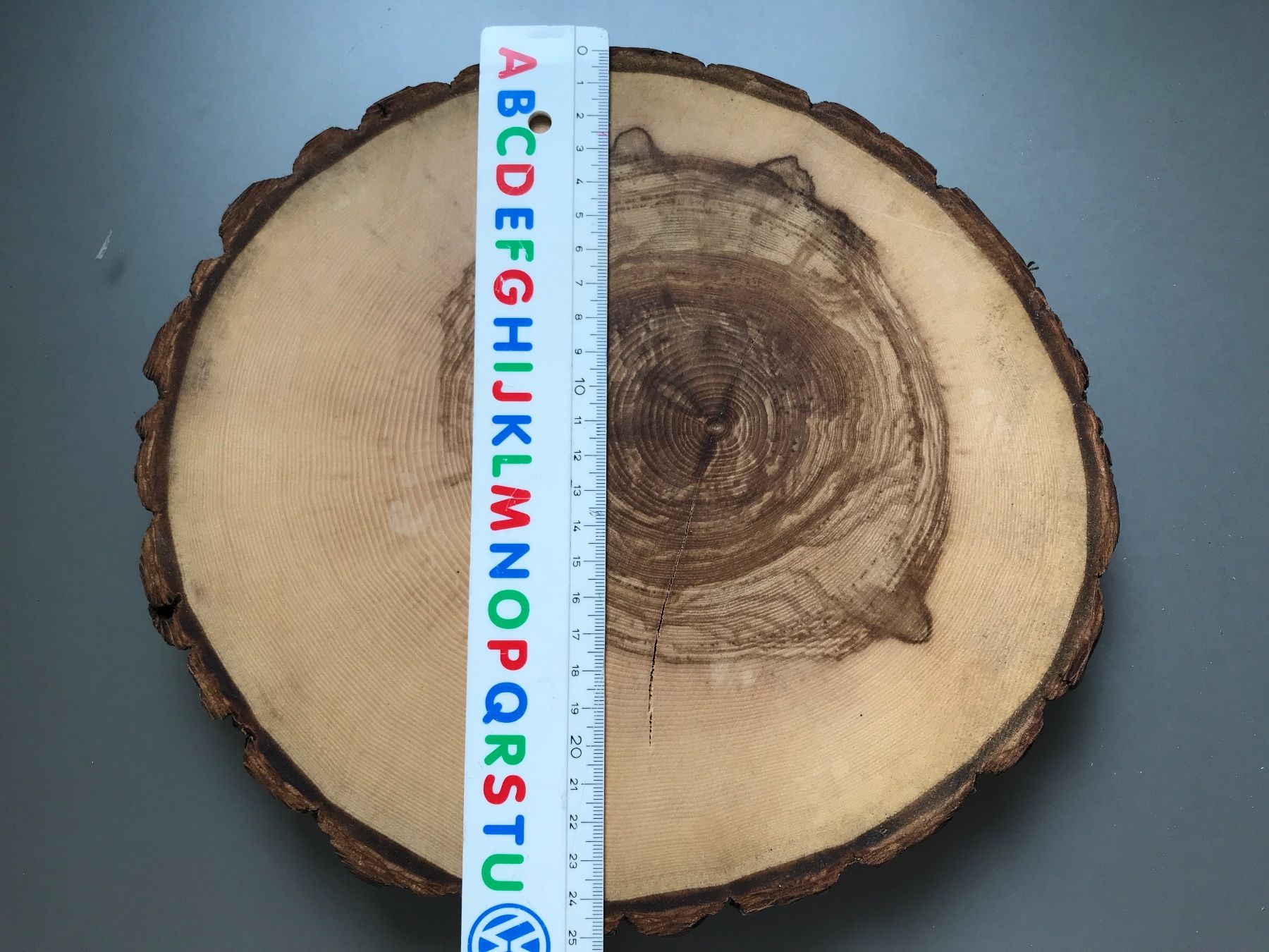 Articles en bois: Holzscheiben – Neuf avec emballage d'origine à Buttwil par mina010 1
