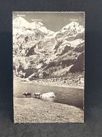 Oeschinensee, Blümlisalphorn
