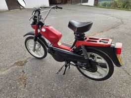 Pony 503 GTX turbo