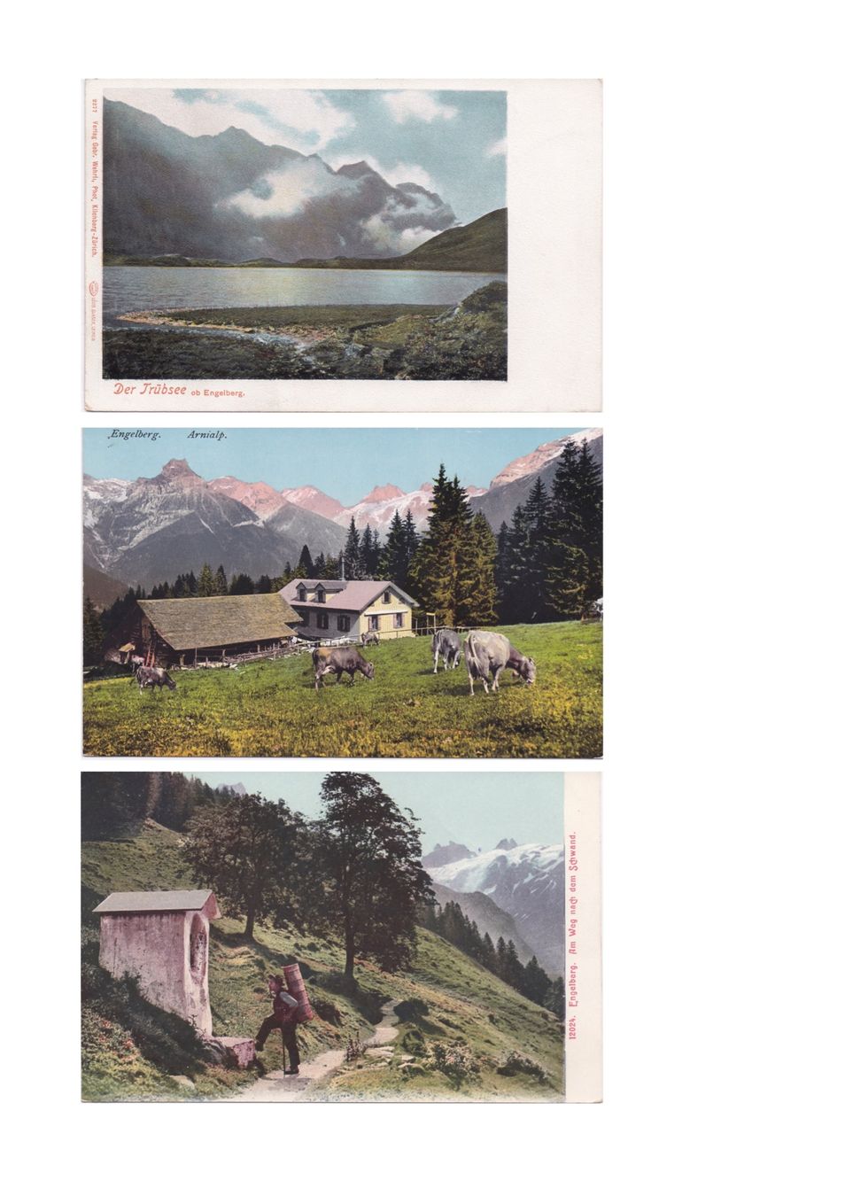 Ansichtskarten: Konvolut Engelberg – Gebraucht aus Baar von dokuba 3