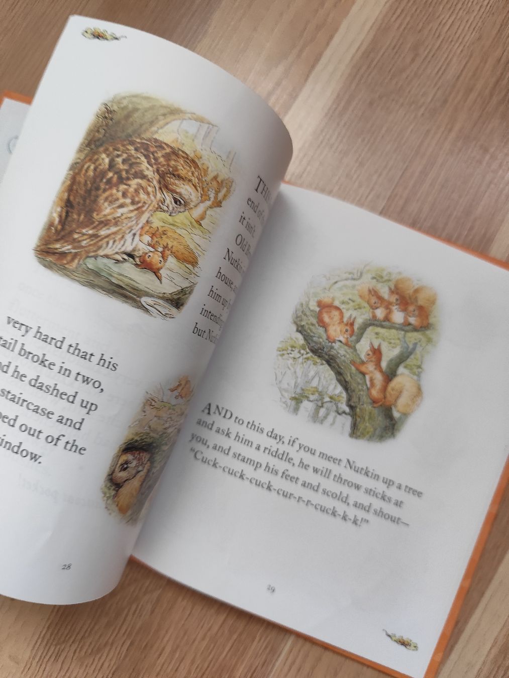 Libri: Beatrix Potter The Tale of Squirrel Nutkin – Usato da Mägenwil venduto da VintageGirly 5