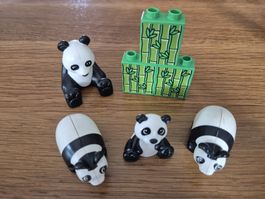 Duplo Set Pandas (Y268)